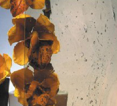 katedral nemet altdeutsch bronz